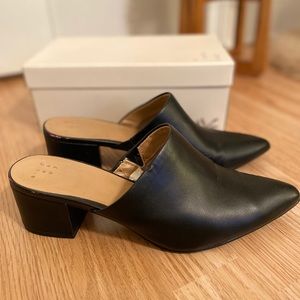 A New Day • Bianca pointed heeled mules